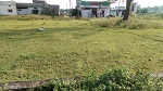 Residential land / Plot in Sai dham colony